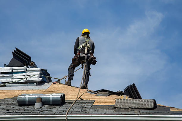 Professional Flat Roof Repair technician working in Ellisville, MO